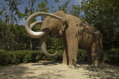 Mammoth by Miguel Dalmau